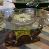 Camel + glass R990             